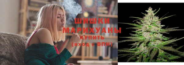 ПСИЛОЦИБИНОВЫЕ ГРИБЫ Белоозёрский