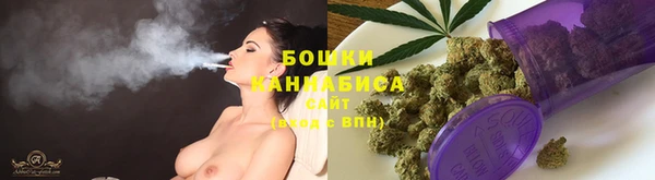 дурь Белокуриха