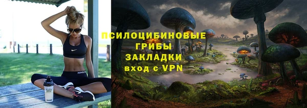 мдпв Балахна